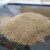渗水杯过滤杯套装黏土沙子土壤渗水性实验四年级科学[科学猩] 土壤500g