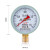 红旗 仪表Y-60普通压力表0-1.6mpa气水油液压径向2.5级空调爆米花 0~0.1MPA