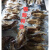 扬州老鹅扬州特产盐水鹅，忘不了吃了忘不了 当天产当天卖一只装