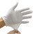 上柯 LF003 白色棉手套加厚劳保作业手套文玩礼仪手套白手套 加厚均码文玩款60双