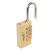 RESET 密码锁挂锁拉杆箱包锁 背包密码挂锁健身房储物柜工具箱锁 RST-055中号铜挂锁