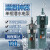 龙珠 清水多级潜水电泵农用高扬程深井抽水泵多级潜水泵 三叶轮 QD3-55/3-1.5（220v)