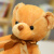 杰纳森泰迪熊抱抱熊熊猫小熊公仔布娃娃毛绒玩具小号送女友生日礼物女生 咖啡色海藻泰迪熊 30厘-米可爱款