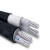 高晖（GAOHUI）电缆线YJLV-0.6/1KV-2*10平方铝电缆 2芯国标 1米