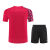 胜利羽毛球服套装短袖速干男女比赛训练球衣跑步支持定制工作服 22070男-红色上衣 M