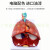 自然大人体喉心肺模型 喉咙甲状腺 肺 心脏模型 人体呼吸模型 喉心肺模型无标识款