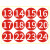 百舸 PVC不干胶数字贴 彩色号码贴纸餐桌号贴比赛选手编号贴活动序号贴 红色大号贴纸10cm 1—100 （一组）