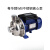 WB200-400/110/150/185-P不锈钢离心泵清洗冲洗设备医药水 WB200/185D-P 220V