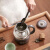小熊（Bear）煮茶器 煮茶壶 养生壶 迷你蒸汽喷淋式不锈钢 电水壶 热水壶 黑茶煮茶器办公室ZCQ-A10T2小熊