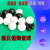 滚珠Si3N4G5氮化硅陶瓷球0.8/1.0/1.2/1.5/1.588/2.0/2.381/2.5 1.588白色氧化锆