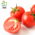 旭耕 有机生态西红柿大番茄 健康轻食 新鲜自然熟蔬菜配送 大番茄 5斤