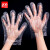 者也（ZYE）一次性PE透明手套厨房餐饮卫生防水手套  1包100只 