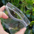 塑料pvc透明防水袋自封口挂牌套园林树木品名物料标识卡吊牌室外 加厚夹子1个