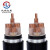 沈缆红星 电缆线YJV22-0.6/1kV-5*35平方5芯国标铠装铜芯电力电缆 硬线 1米