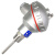 威锐嘉 温度传感器铂热电阻PT100 WZP-231感温探头4分螺纹装配式固定螺纹（定制） （PT100型）插深=900mm 