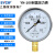 SYCIF YN100 径向耐震压力表1.6级精度铁镀外壳黄铜接头水气油压表 -0.1-0.06MPa