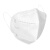 飞尔（FLYER） 白色折叠式 N95口罩 10.5x15.5cm