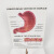 东部工品 人体肠胃模型大肠直肠模型医院校用教学演示器官解剖模具人体肠胃模型 病理胃模型