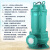 瑞易极盛潜水泵排水排污泵65WQ4QG-扬程25m-单位：台-5天发货