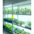 DYQT远程智控植物光照培养架实验室组培架组培瓶蔬菜架子带组培灯 套餐二特制板4层实用智能款 远程控制断电提醒