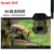 4G红外相机野保相机高清夜视感应动物监测感应夜视远程手机直播 32G套装