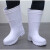 EVA超轻泡沫雨靴卫生靴厨房耐油耐磨高筒靴子防滑水鞋酒店后厨家 EVA白色水靴 37-38