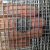 初构想（CHUGOUXIANG）304不锈钢电焊网片防鼠网钢丝围栏窗户防护焊接网筛网防盗网 丝0.6mm/孔6mm/1X1米