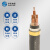 华实（HUASHI） YJV22  3*4mm² 国标铜芯低压电缆 1米