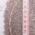 天净（NEO CLEAN）猫砂膨润土猫砂5kg 罗密欧强力凝结团猫砂 低敏无香5kg*4包
