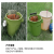 妙语诺   垃圾桶工业风户外多功能收纳桶大号储物桶（货期3-5天） 橄榄绿