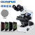 双目三目显微镜倒置体式生物显微镜奥林巴斯专业临床研究金相 正置CX33 
