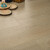 圣象（Power Dekor） 圣象地板强化复合木地板F4星 单价为一平裸板价 NPF8013n【零售】