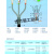 适用于定制适用于定制华仪1KV低压 冷缩终端头中间 二三四五芯 LS-1/4.1 0 3 4 25- 1KV四芯冷缩中间4*25-50