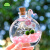 孙凯（SUNKAI）玻璃香水瓶海藻球马里莫微景观新奇水培植物 海洋精灵