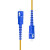 蓝邮 低烟无卤环保光纤跳线 SC/UPC-SC/UPC单模双芯1米 收发器尾纤 电信级双工接头 