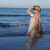仕凡一沙滩裙女海边度假长裙波希米亚海边度假沙滩裙女2023夏 图片色 M码 建议80-100斤
