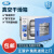 上海一恒真空干燥箱实验室用电热恒温真空烘箱工业小型真空消泡箱 DZF-6123(RT+10~200℃) 500*