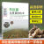 彩图版羊肚菌实用栽培羊肚菌种植新书高效 图说茶树菇栽培关键技术