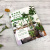 室内绿植搭配与养护完全手册：用绿植打造花园家居（日本专业绿植设计师经验总结 植物杀手也能打造高颜值绿