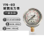 青岛布莱迪仪表YN-60耐震压力表气压表水压油压防震抗震轴向径向 0~6MPa(60公斤)