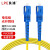 良浦 电信级单模万兆光纤跳线 单模单芯Φ3.0（SC-SC，9/125）25米 NG-1SC-SC-S25