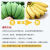 正宗广西小米蕉香蕉新鲜水果当季小香苹果蕉粉蕉新鲜现摘 净重4.5 5斤
