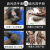 晨梦蓝 超强工业磨砂洗手液去机油重油黑手变白手清洗剂 浓缩型方瓶装2L【10瓶整箱装】