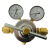 定制YQWG-754丙烷减压器铜管道汇流排减压阀管路石油液化气集中供气定制 丙1烷铝盖稳定输出0.25x2.5MPa