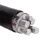 立飞 电缆线 带凯国标YJLV22 电力电缆地理架空线  铝芯带凯 5*25平方  1米（定制）