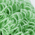 康丽雅 K-2972 纳米纤维清洁球 洗碗刷锅刷颜色随机3个装