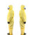 添盾 TD-BP9618 黄色带帽连体式工业防化服 黄色 XXXL