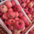 陕西洛川红富士苹果 带皮吃的苹果当季孕妇新鲜水果 脆甜水果整箱 9斤（产地直发） 【大果80mm（含）-85mm(不含)】