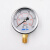 定制油压表竖向抗震耐震压力表径向测压YN-601.62.5/4/10/16/25/4 0-10MPA