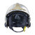 梅思安（MSA）F1XF消防头盔10158861 灭火抢险救援头盔 内置照明模组 镍色中号 定制 拍前联系客服